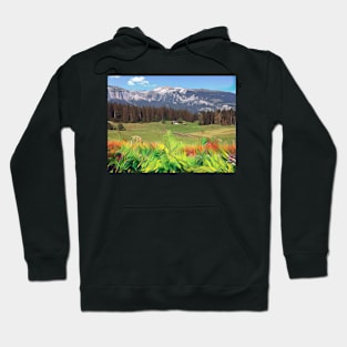 Mountains in Switzerland in summer Hoodie